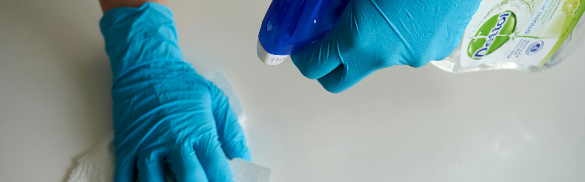 Assistance With House Cleaning And Yard Maintenance